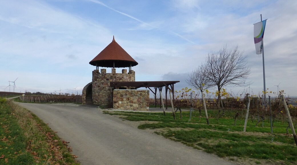 Weinbergsturm bei Spiesheim