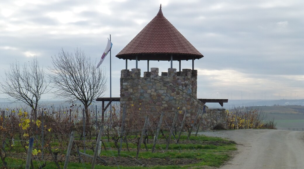 Weinbergsturm Spiesheim; Nordansicht