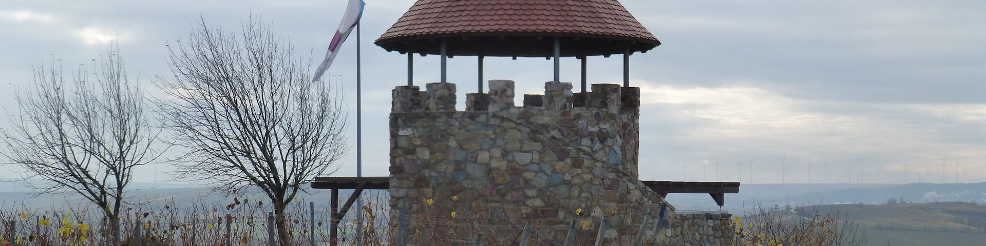 Weinbergsturm Spiesheim; Nordansicht