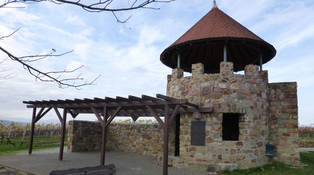 Weinbergsturm Spiesheim; Ostansicht