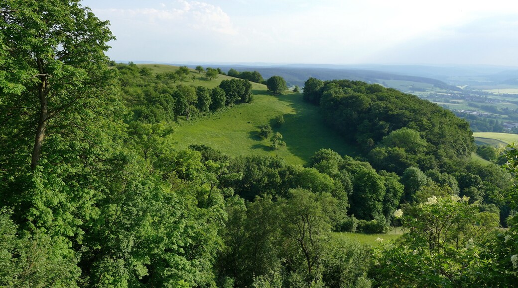 Der Pfaffenberg, hier von der Leuchtenburg aus gesehen, liegt im Naturschutzgebiet Nr. 174 "Dohlenstein und Pfaffenberg". Gleichzeitig befindet er sich im Landschaftsschutzgebiet Nr. 104 "Saaletal in den Fluren Göschwitz bis Kahla" (WDPA: 345190) und im FFH-Gebiet mit der EU-Nr. 5135-301 "Dohlenstein und Pfaffenberg".