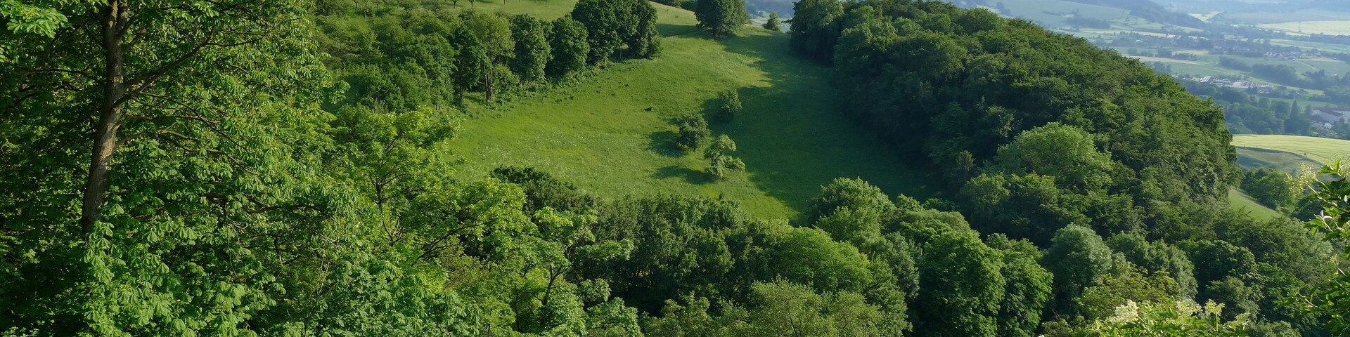 Der Pfaffenberg, hier von der Leuchtenburg aus gesehen, liegt im Naturschutzgebiet Nr. 174 "Dohlenstein und Pfaffenberg". Gleichzeitig befindet er sich im Landschaftsschutzgebiet Nr. 104 "Saaletal in den Fluren Gรถschwitz bis Kahla" (WDPA: 345190) und im FFH-Gebiet mit der EU-Nr. 5135-301 "Dohlenstein und Pfaffenberg".