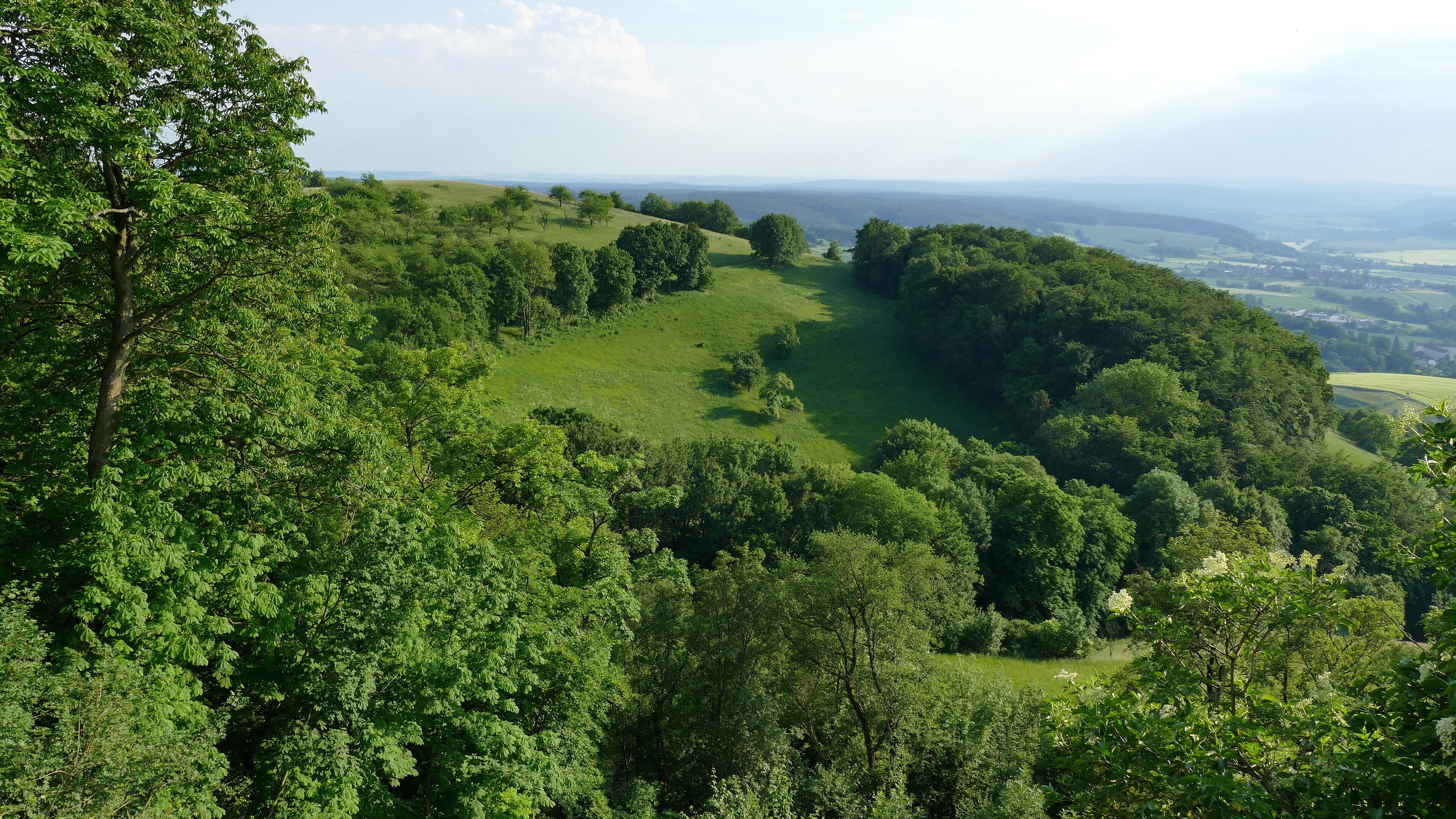 A lush green valley with rolling hills and dense forests.