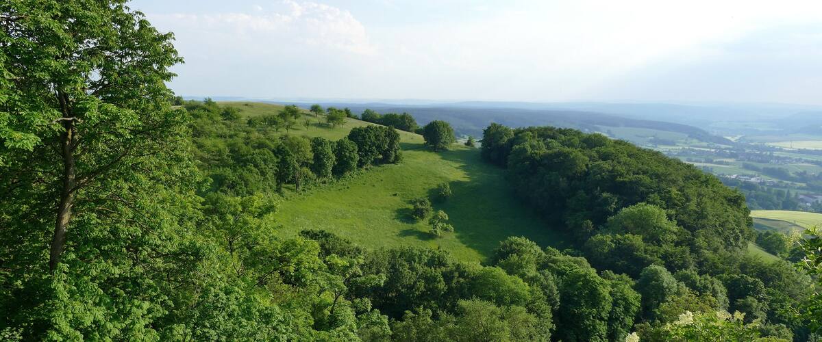 A lush green valley with rolling hills and dense forests.