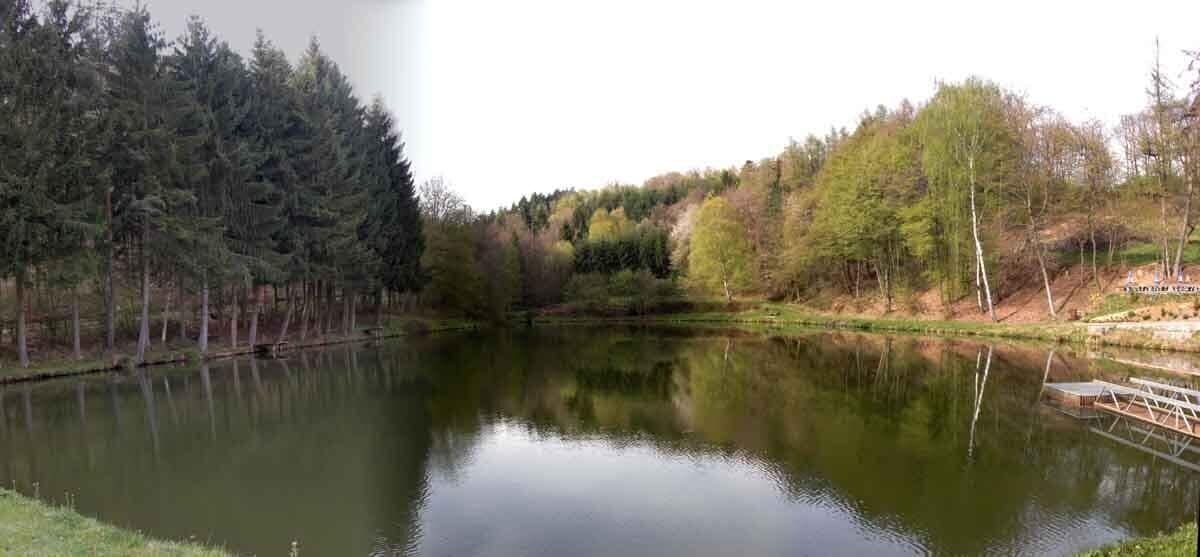 A calm lake surrounded by dense forest and a wooden dock.