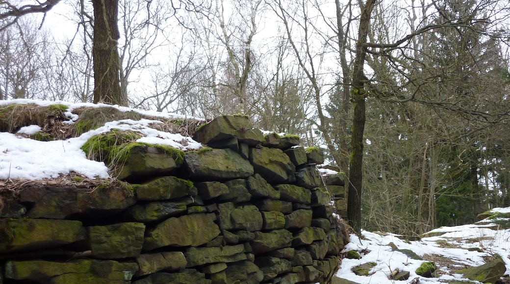 Steinsetzungen am Gipfel des Thromberges