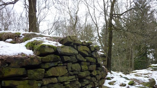 Steinsetzungen am Gipfel des Thromberges