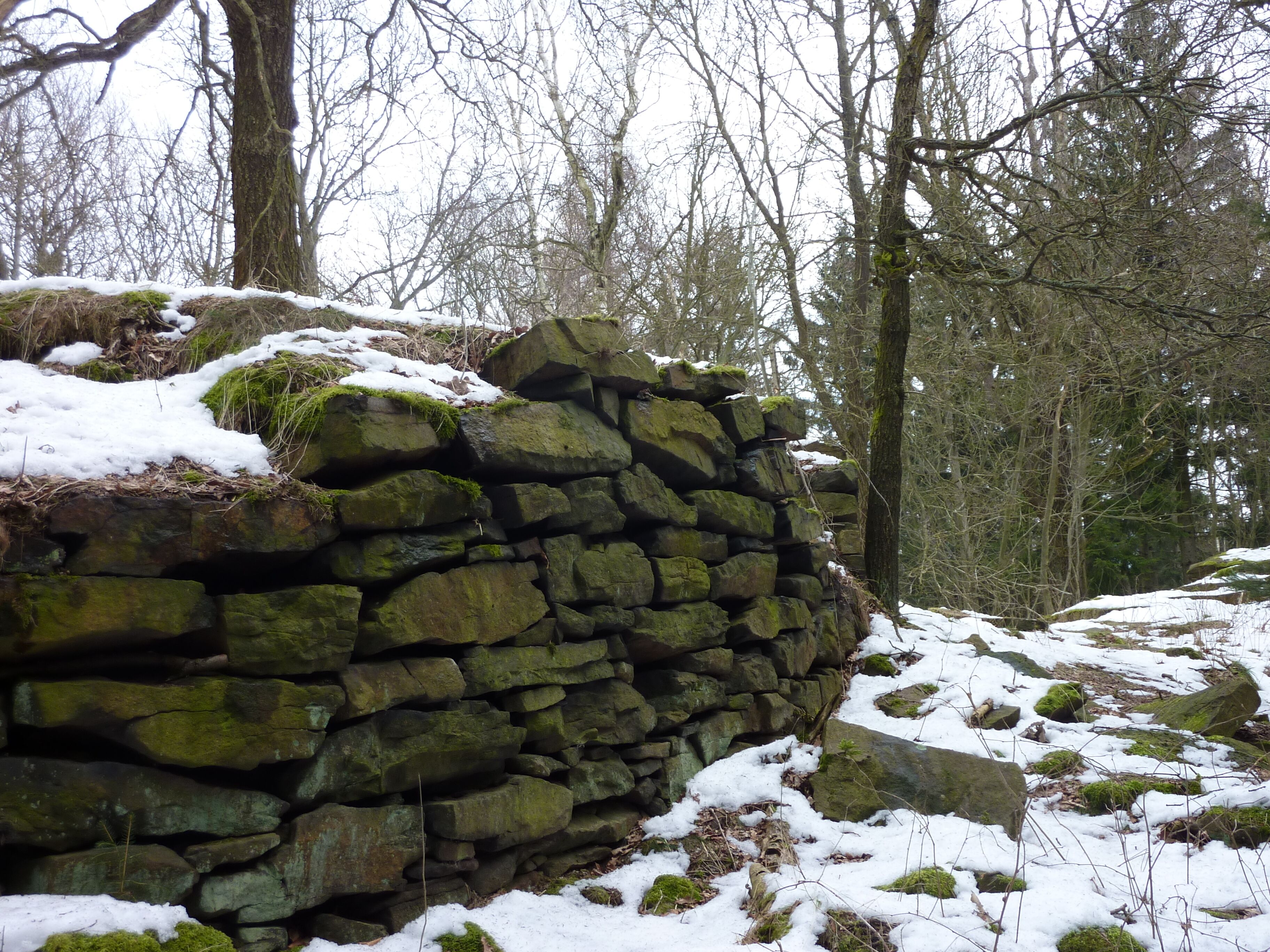 A stone wall in a forest with snow on the ground and trees in the background.