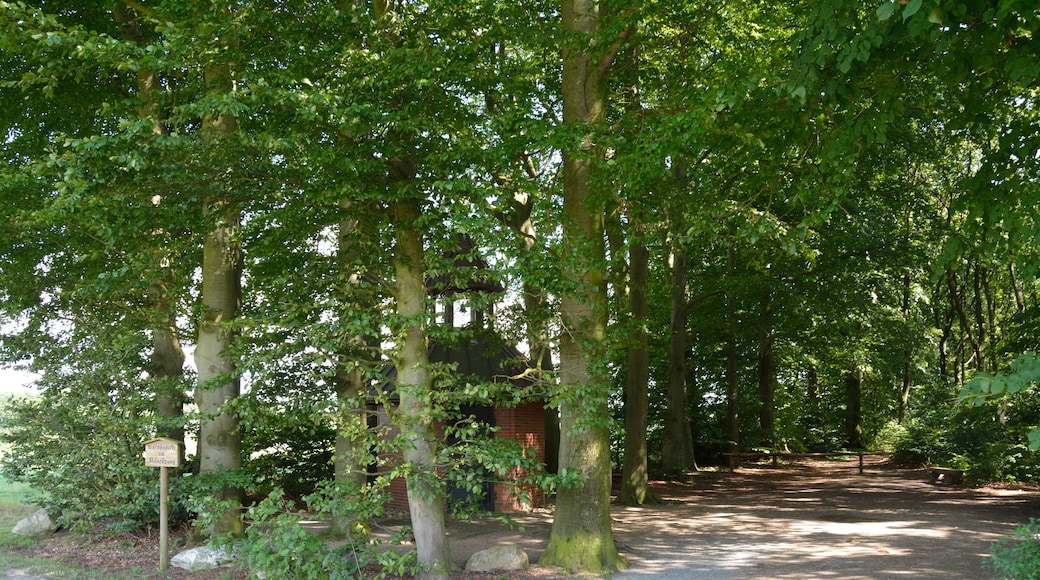 Impressionen der Waldkapelle in Mönkloh am Mönchsweg