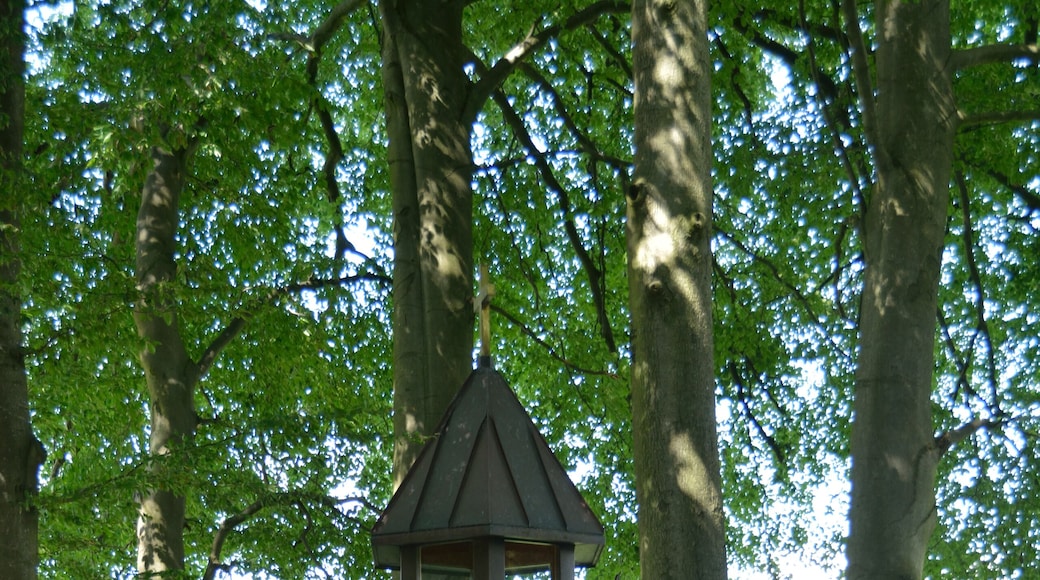 Impressionen der Waldkapelle in Mönkloh am Mönchsweg