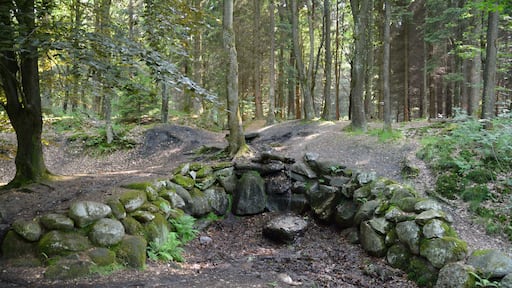 Impressionen von einem kleinen Grillplatz im Wald Hasselbusch bei Mönkloh.Zwischen zwei Teichen befindet sich ein gemauerter Grill, eine mit Steinen eingefasste offene Feuerstelle und mehrere Sitzmöglichkeiten. Allerdings keine Überdachung, bei Regen also... Auch befindet sich dort eine Quelle, die innerhalb des Waldes verrohrt ist und durch einen ausgehöhlten Baumstamm in die Teiche fliesst.