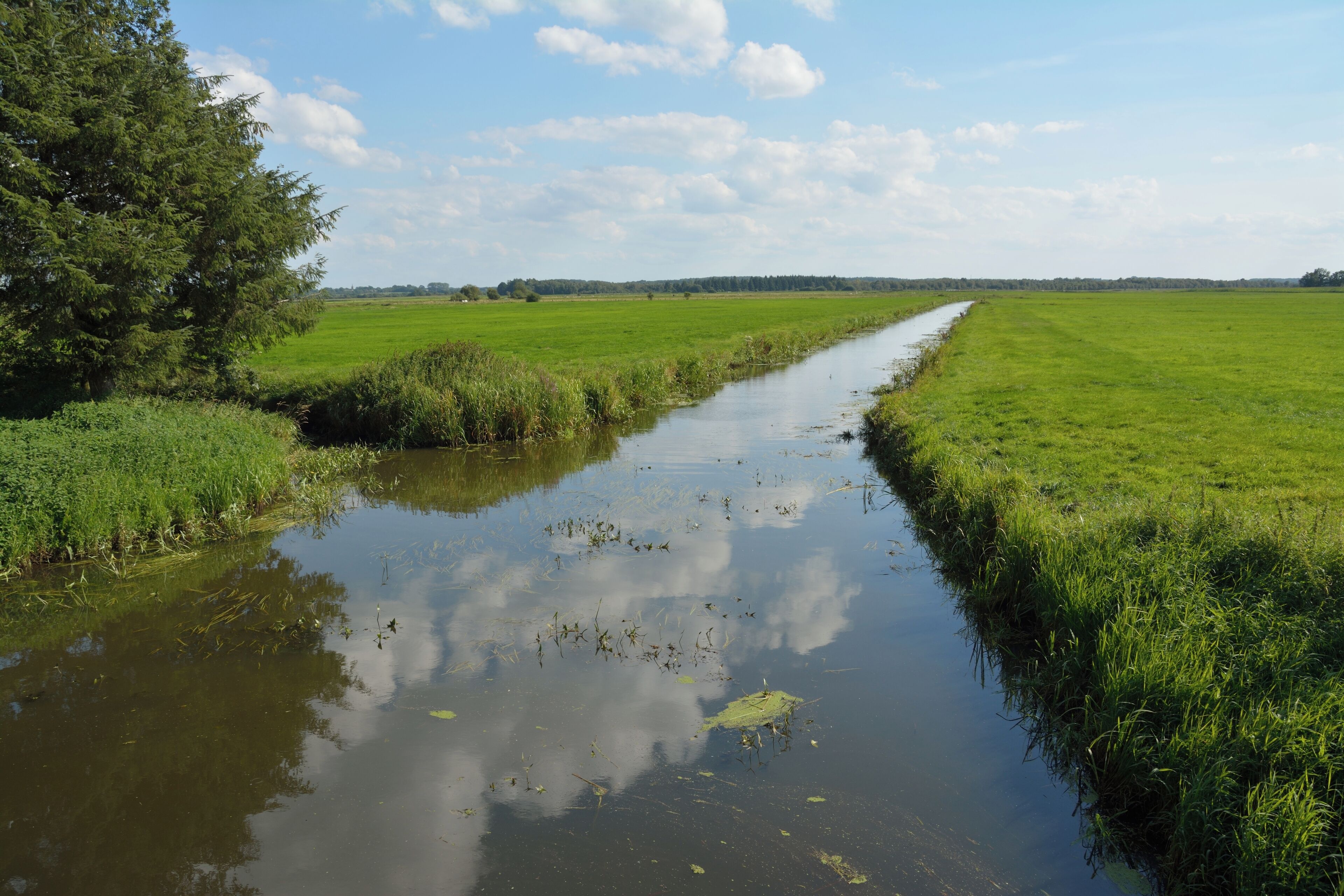 Die Fuhlenau ist einer der Zuflüsse, die einen Teil von Schleswig-Holstein entwässern. Sie mündet am Sperrwerk Fuhlenau in die de:Haaler Au.