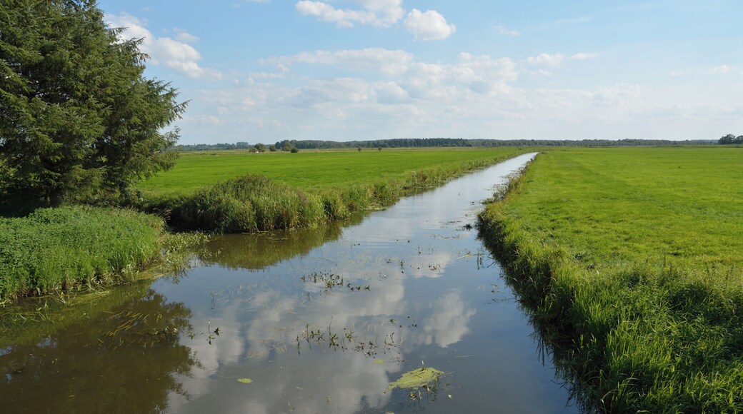 Die Fuhlenau ist einer der Zuflüsse, die einen Teil von Schleswig-Holstein entwässern. Sie mündet am Sperrwerk Fuhlenau in die de:Haaler Au.