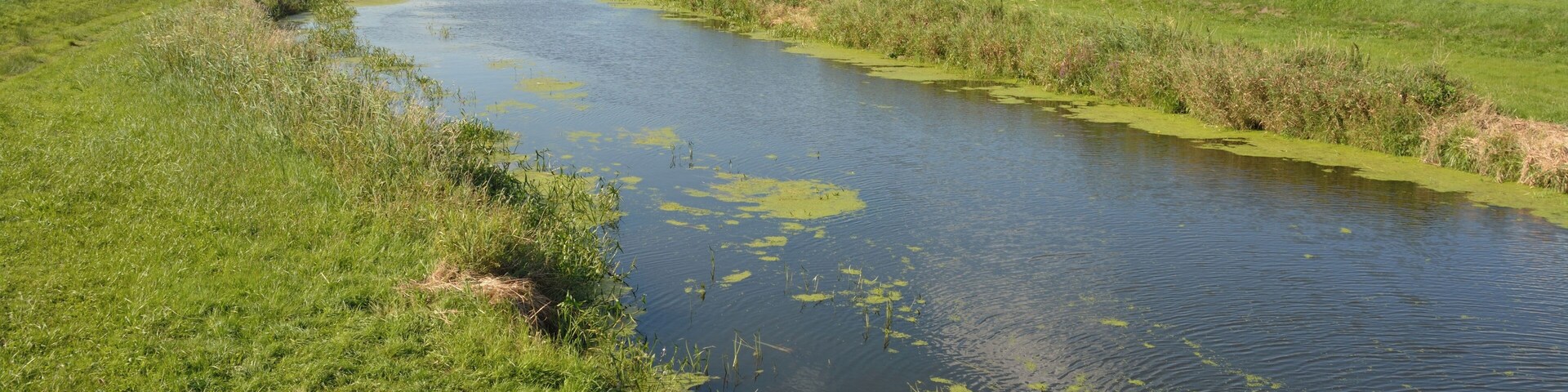 Die Haaler Au an der Brücke über die Landesstrasse 127