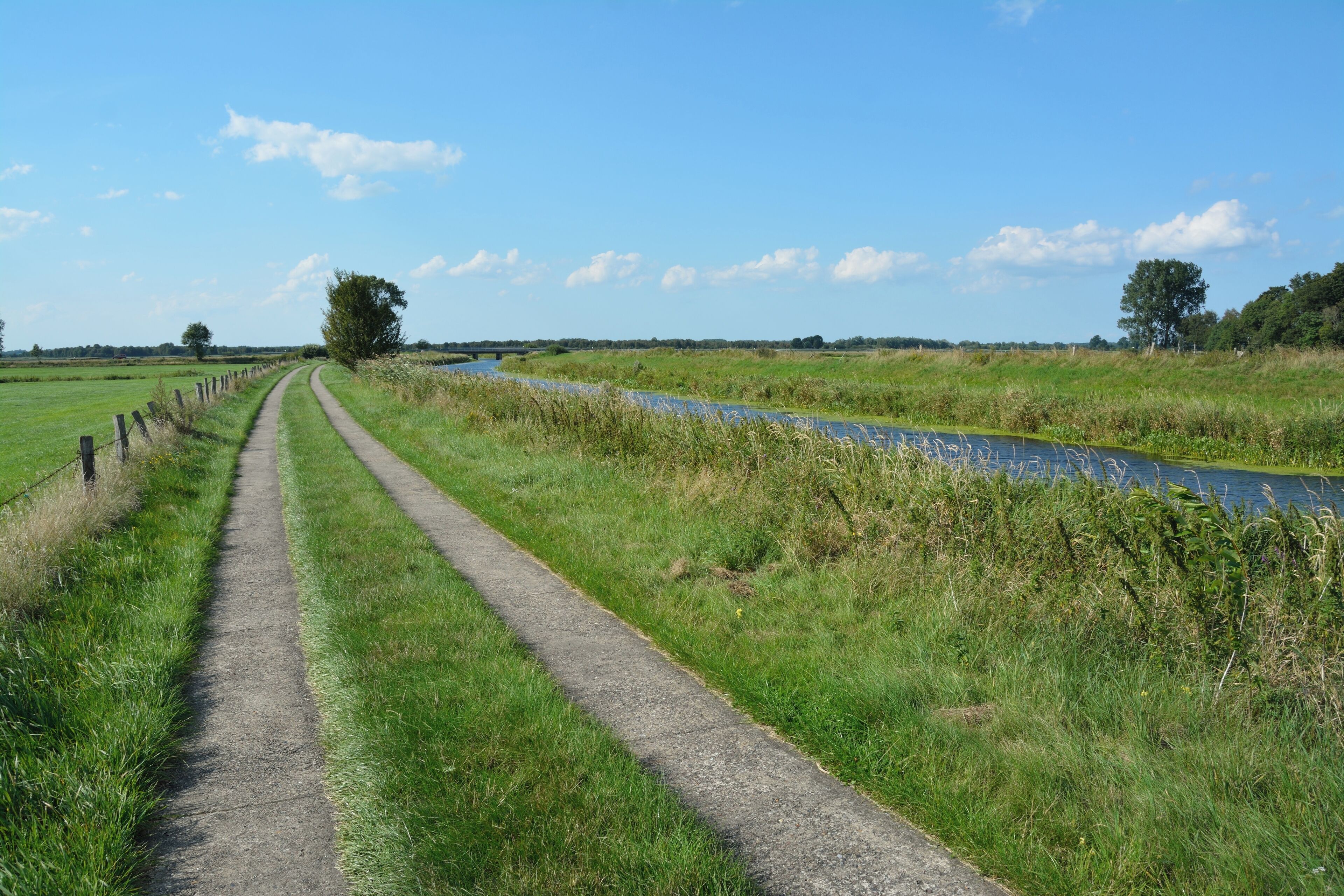 Die Fuhlenau ist einer der Zuflüsse, die einen Teil von Schleswig-Holstein entwässern. Sie mündet am Sperrwerk Fuhlenau in die de:Haaler Au.