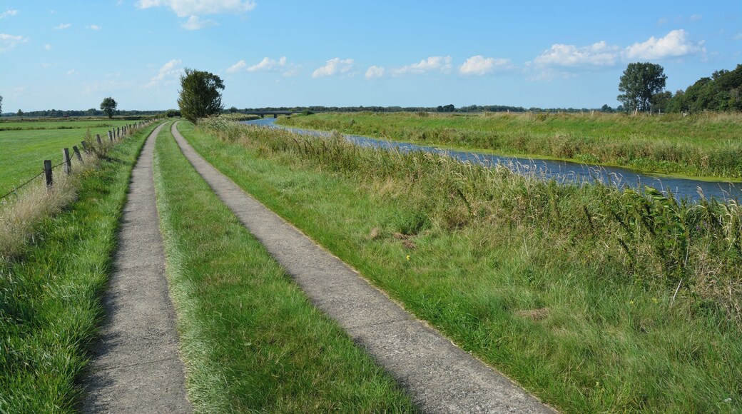 Die Fuhlenau ist einer der Zuflüsse, die einen Teil von Schleswig-Holstein entwässern. Sie mündet am Sperrwerk Fuhlenau in die de:Haaler Au.