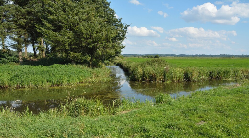 Die Fuhlenau ist einer der Zuflüsse, die einen Teil von Schleswig-Holstein entwässern. Sie mündet am Sperrwerk Fuhlenau in die de:Haaler Au.
