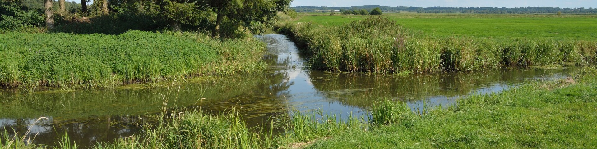 Die Fuhlenau ist einer der ZuflĂŒsse, die einen Teil von Schleswig-Holstein entwĂ€ssern. Sie mĂŒndet am Sperrwerk Fuhlenau in die de:Haaler Au.