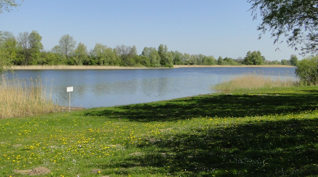 Lake Neetzkaer See in Neetzka, district Mecklenburg-Strelitz, Mecklenburg-Vorpommern, Germany