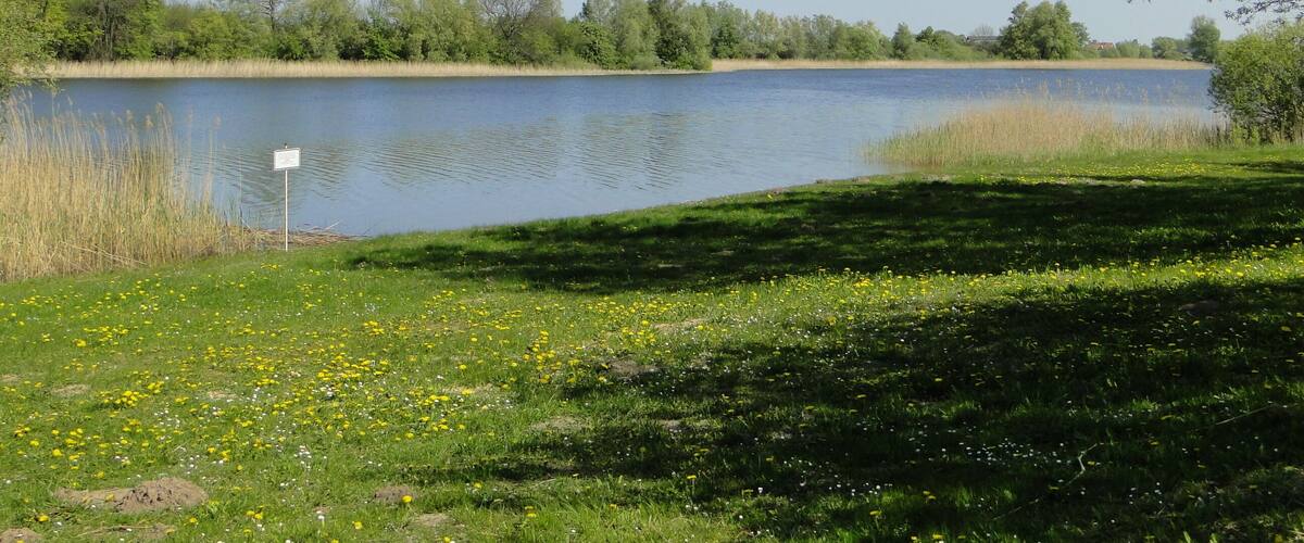 A calm lake surrounded by greenery and trees.