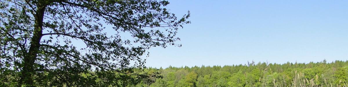 Lake Neetzkaer See in Neetzka, district Mecklenburg-Strelitz, Mecklenburg-Vorpommern, Germany