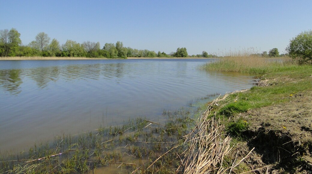 Lake Neetzkaer See in Neetzka, district Mecklenburg-Strelitz, Mecklenburg-Vorpommern, Germany
