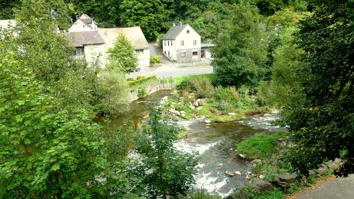 Hahnenbach am Hahnenbach