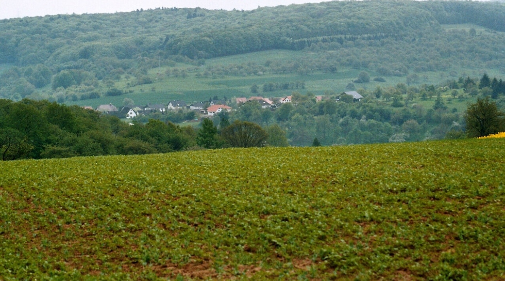 Brücken (Pfalz), view to the village