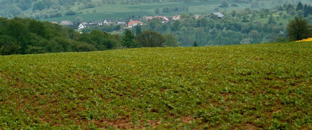 Brücken (Pfalz), view to the village