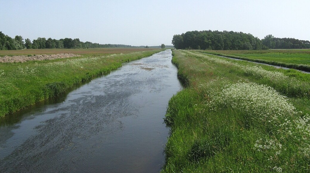Rögnitz river between Leussow and Menkendorf, district Ludwigslust-Parchim, Mecklenburg-Vorpommern, Germany