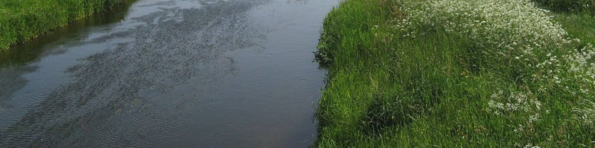 Rögnitz river between Leussow and Menkendorf, district Ludwigslust-Parchim, Mecklenburg-Vorpommern, Germany