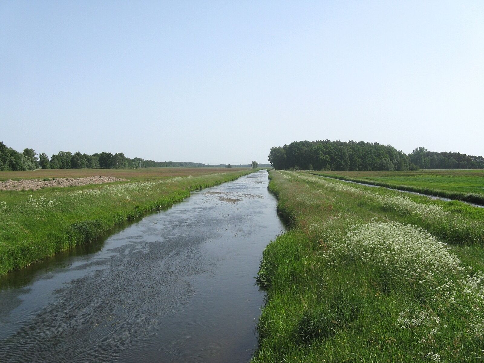 A narrow water channel flanked by green fields and a forested area.