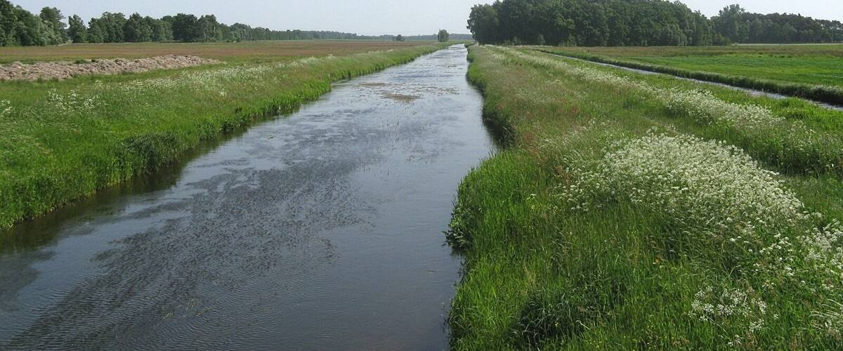A narrow water channel flanked by green fields and a forested area.