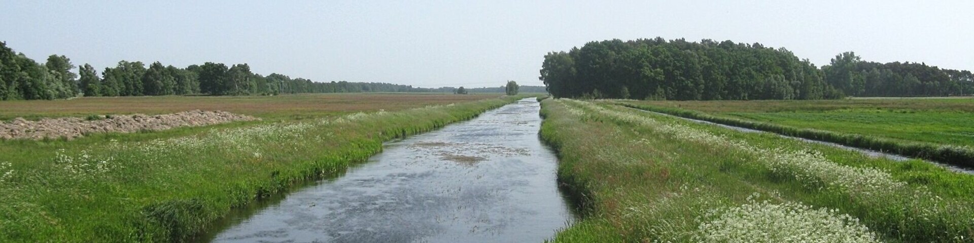 A narrow water channel flanked by green fields and a forested area.