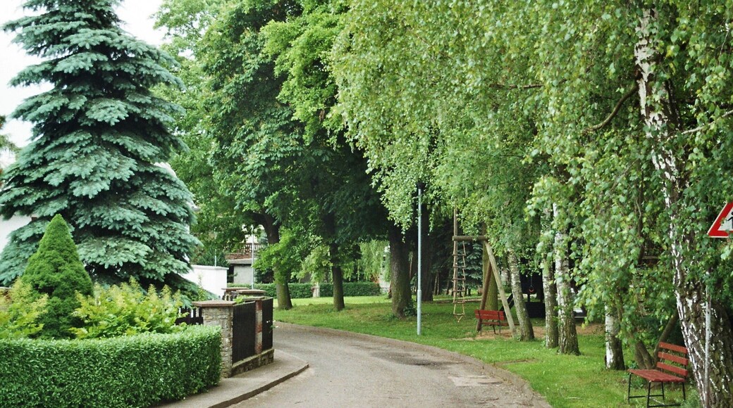 Wiegendorf, the village park