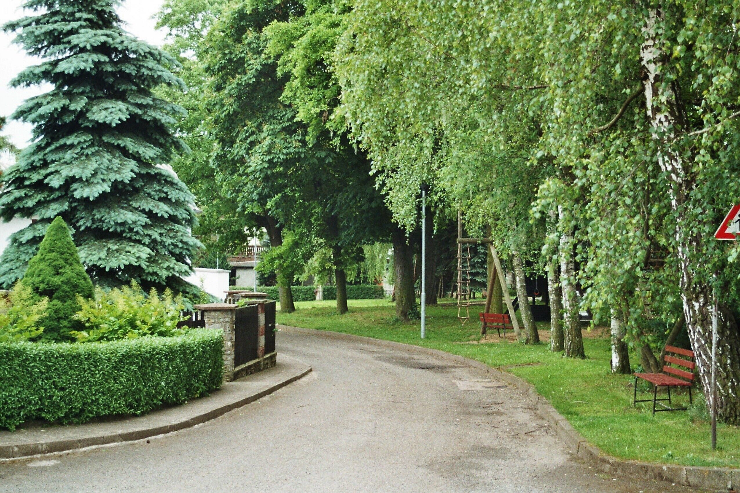 A tree-lined street with a red bench and a triangular warning sign.