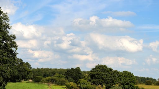 Impressionen von der Mühlenau Die Mühlenau als kleiner Bach nahe der Quelle als Grenze zwischen Warringholz und Schenefeld.