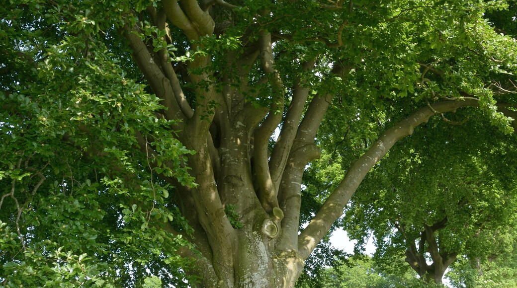 This image was uploaded as part of Wiki Loves Earth 2014.