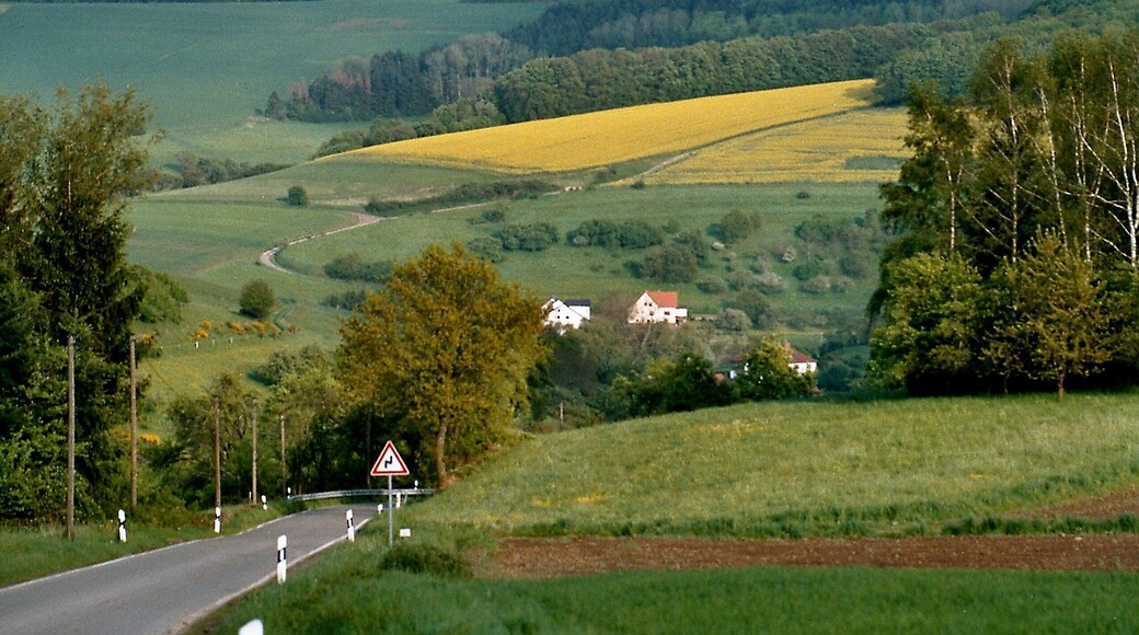Henschtal, view towards the valley of the Henschbach