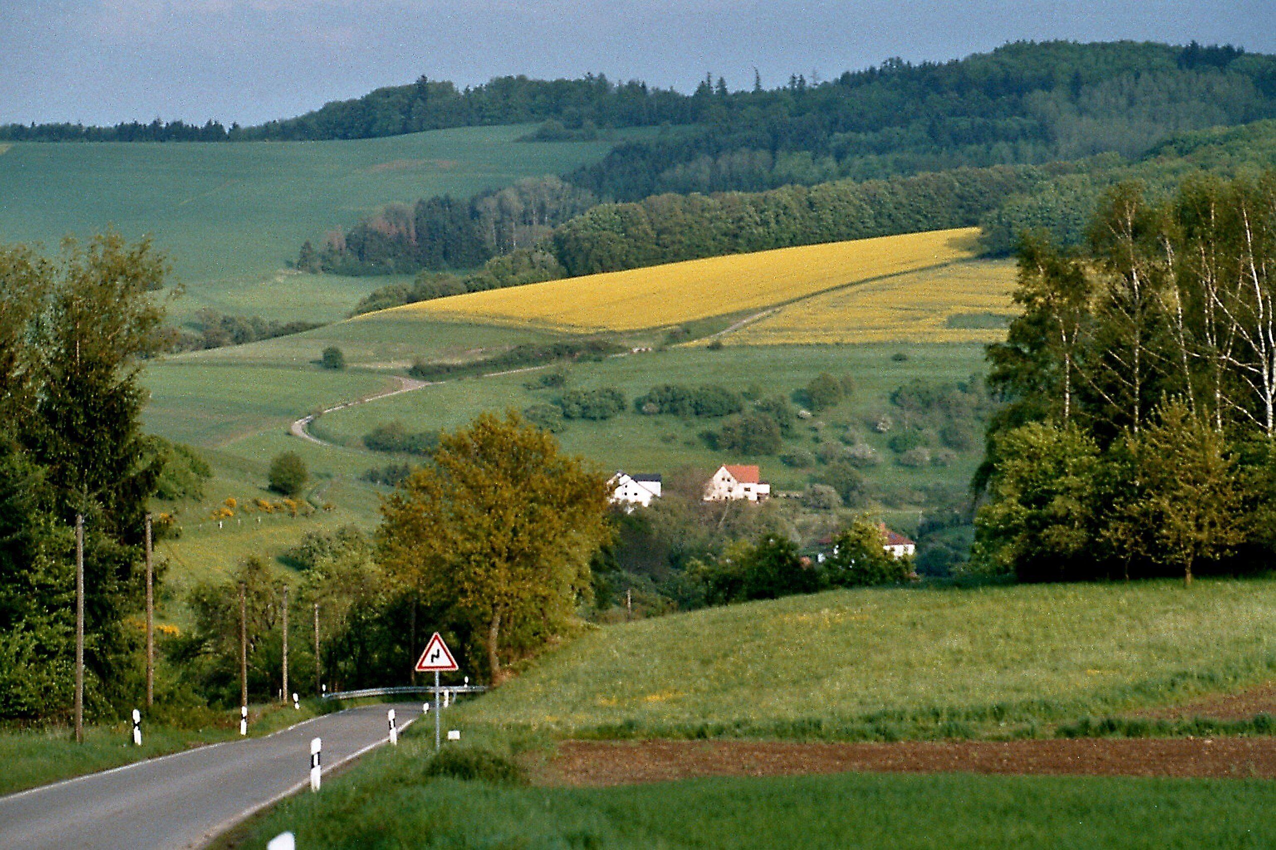 A rural landscape with a winding road, fields of yellow flowers, and a house with a red roof.