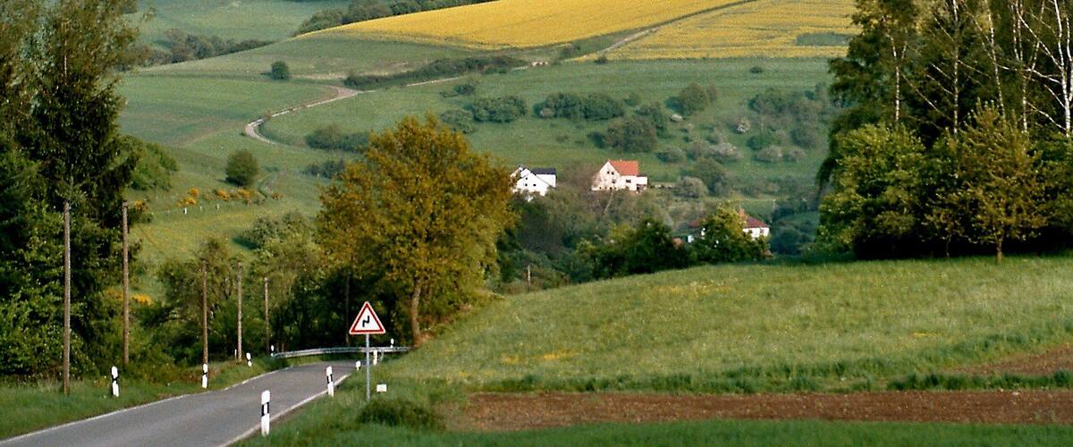 A rural landscape with a winding road, fields of yellow flowers, and a house with a red roof.
