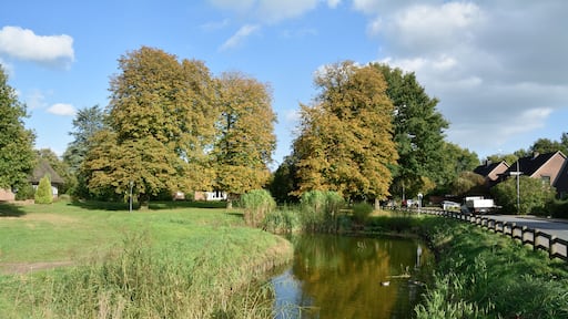Impressionen aus Münsterdorf