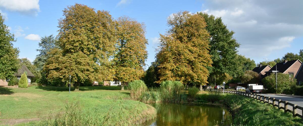 A tranquil pond surrounded by lush greenery and autumn-colored trees.