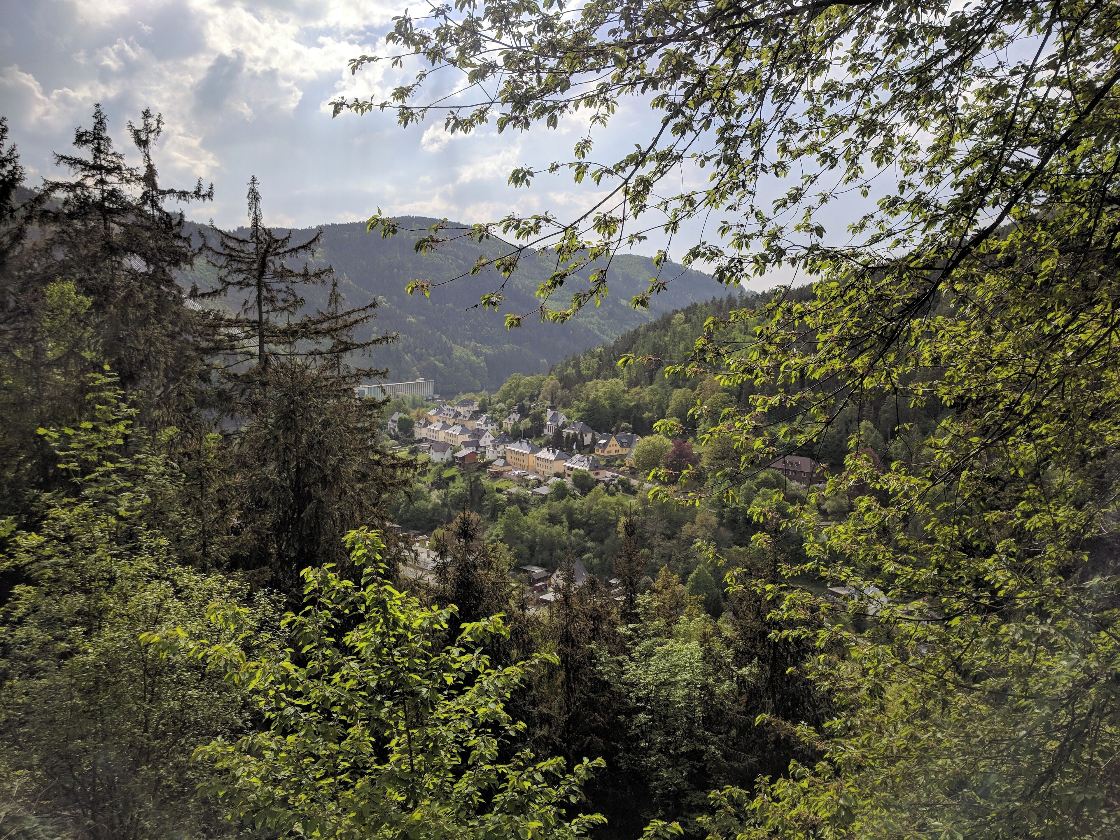 A town nestled in a valley surrounded by dense forest and mountains.