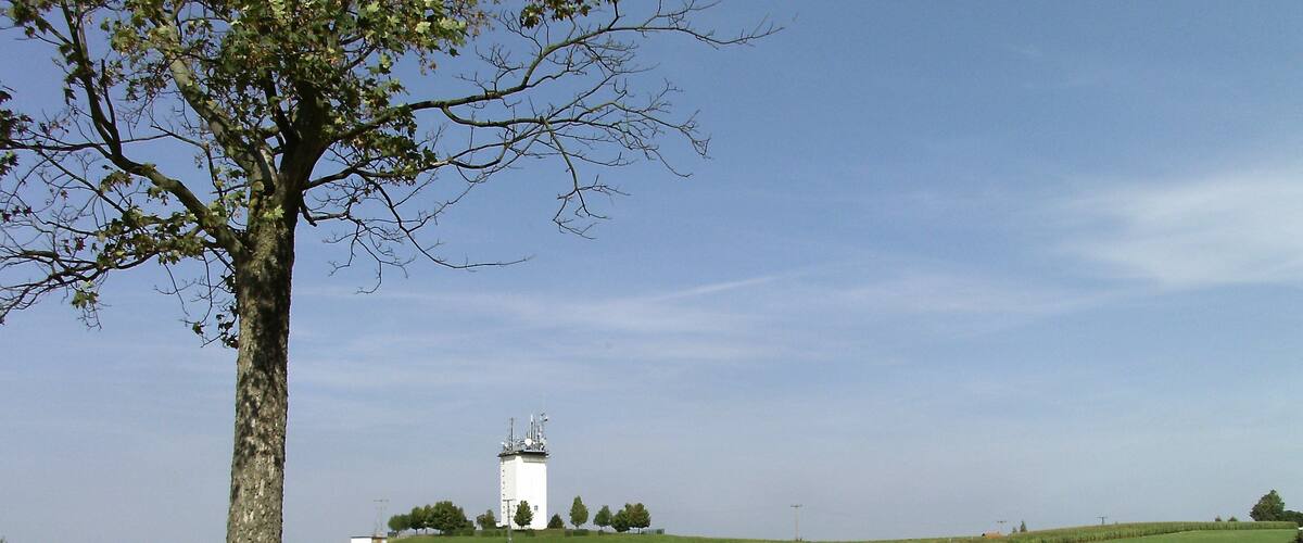 A white tower on a grassy hill with a tree in the foreground.