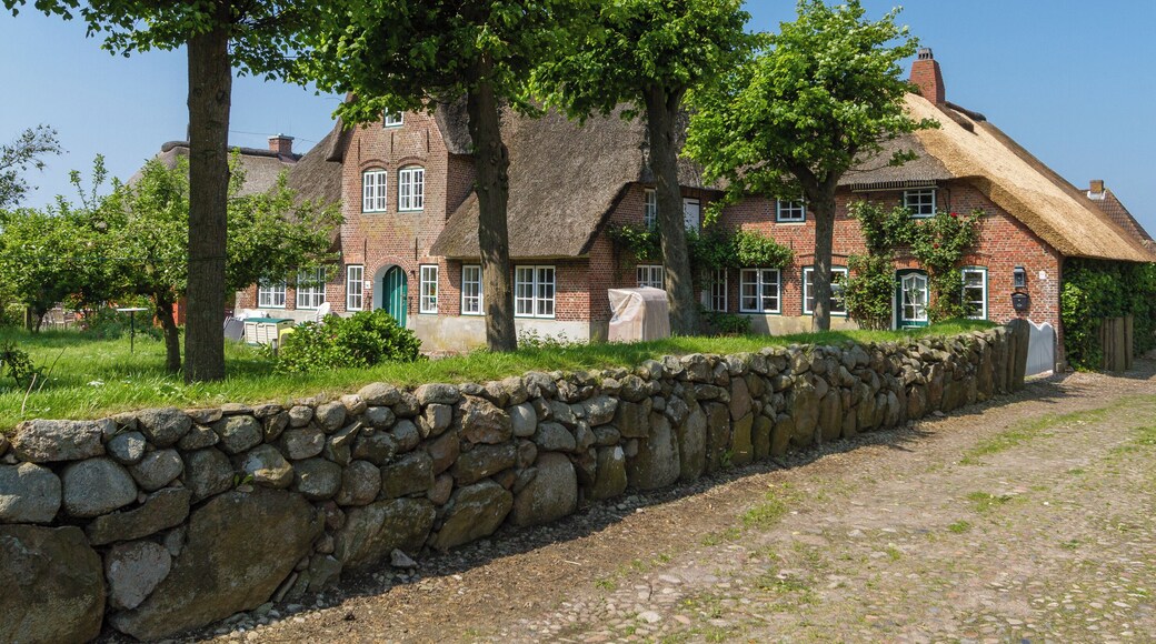 Designation: Friesian embankment Location: An de Marsch House number: 81 - 81a Place: Municipality Midlum, Collective municipality Föhr-Amrum, District Nordfriesland, Schleswig-Holstein, Federal Republic of Germany Object identification: 24075