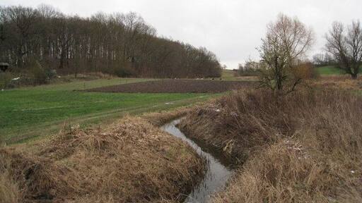 Ackerland bei Menzendorf