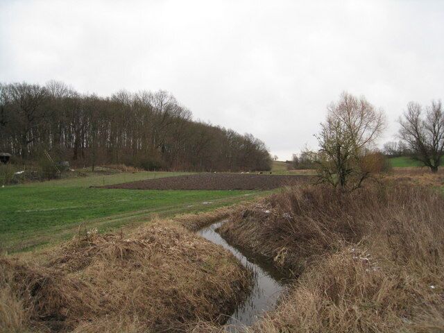 A rural landscape with a narrow water channel, grassy fields, and leafless trees in the background.