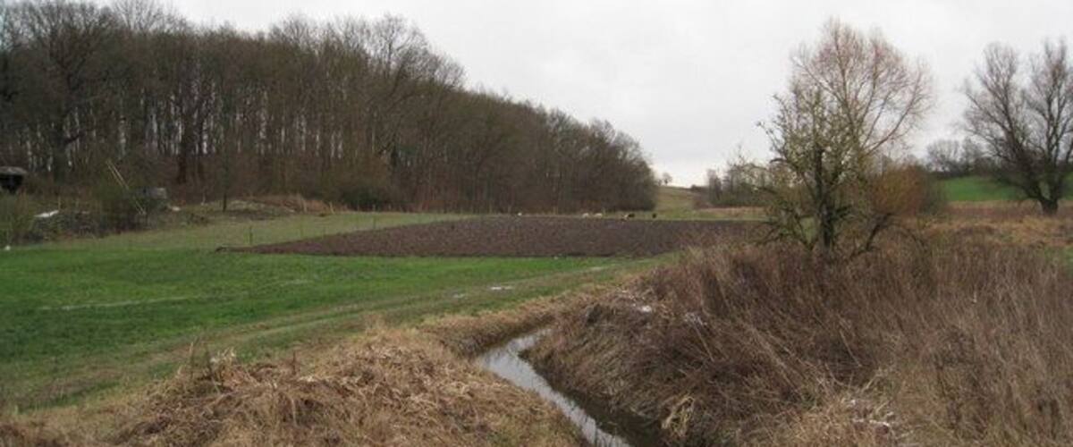 A rural landscape with a narrow water channel, grassy fields, and leafless trees in the background.