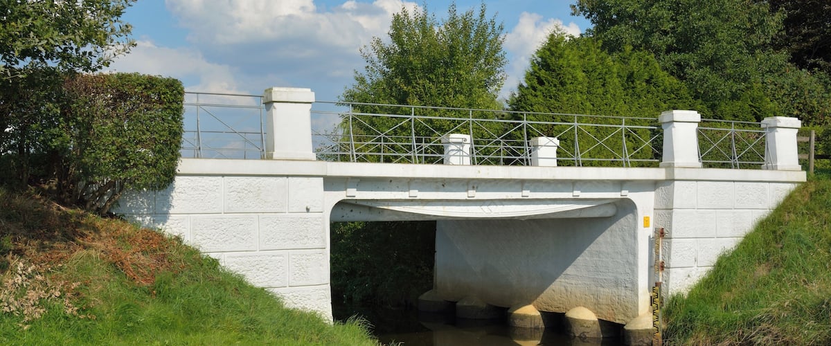 A concrete bridge over a calm waterway, surrounded by lush greenery and trees.